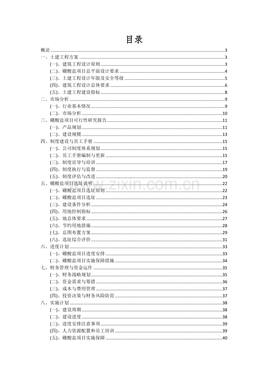 2024年硼酸盐项目可行性分析报告.docx_第2页