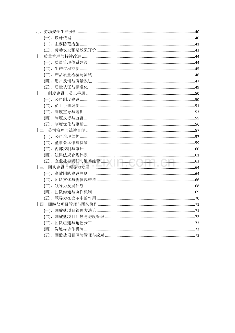 2024年硼酸盐项目可行性分析报告.docx_第3页