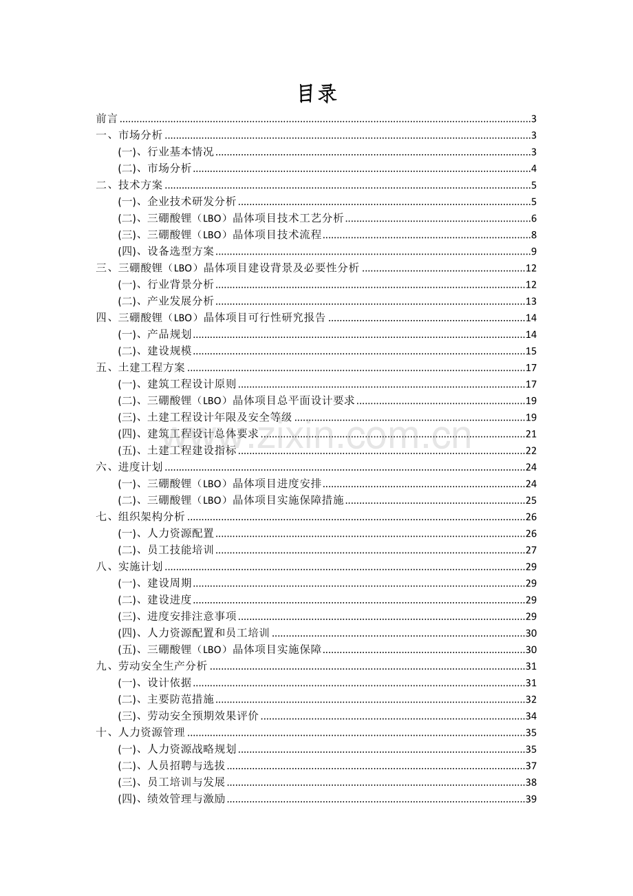 2024年三硼酸锂(LBO)晶体项目可行性研究报告.docx_第2页