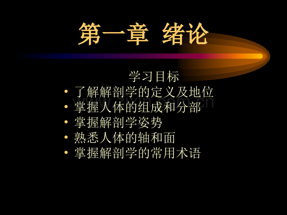 卫校讲绪论解剖学基础.ppt_第2页