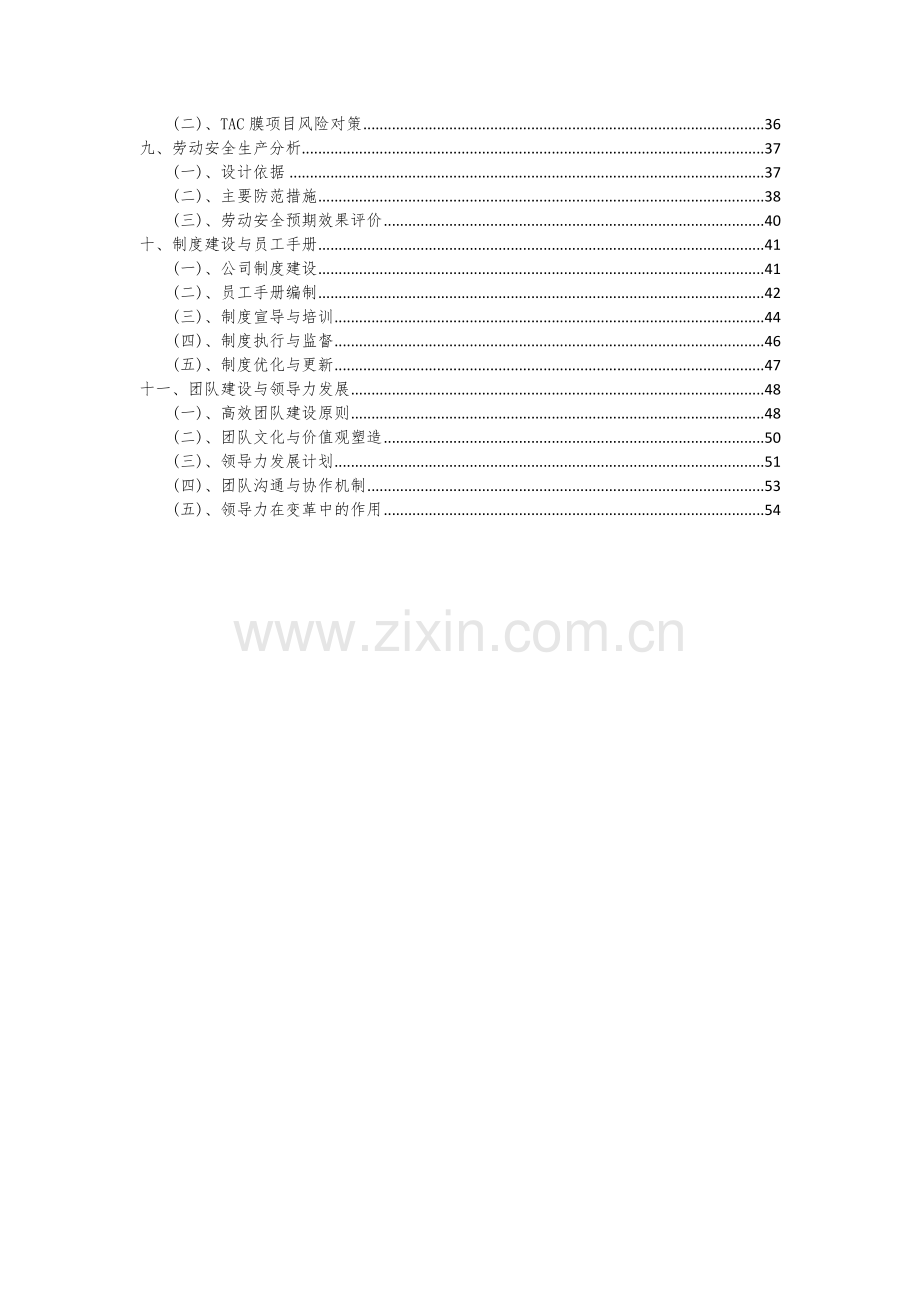 2024年TAC膜项目可行性分析报告.docx_第3页