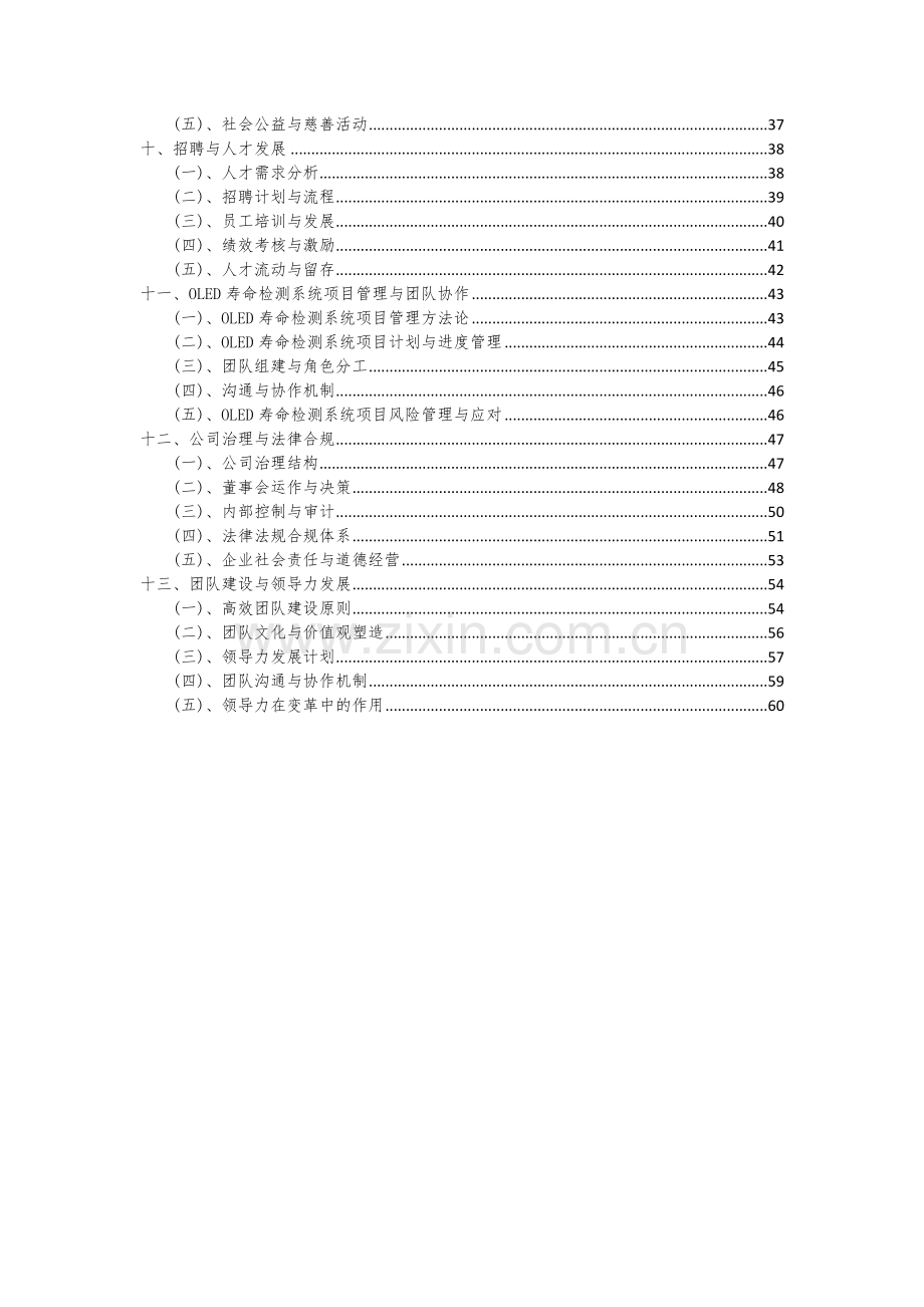 2024年OLED寿命检测系统项目投资分析及可行性报告.docx_第3页