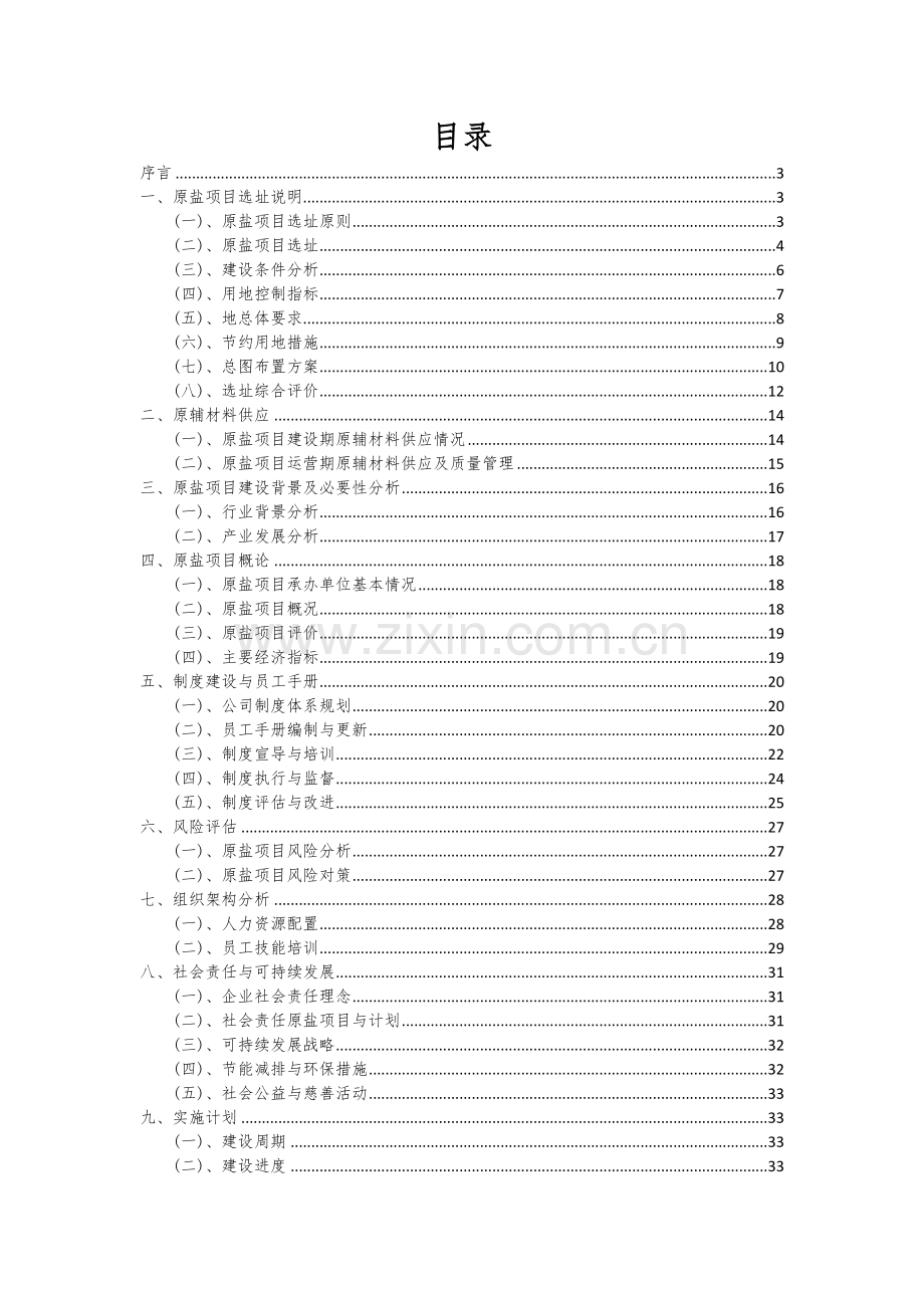 2024年原盐项目可行性分析报告.docx_第2页