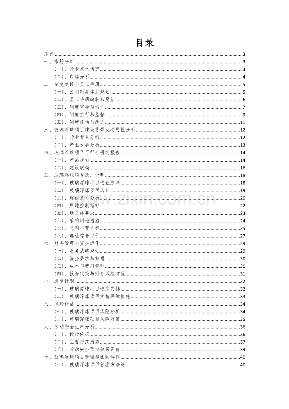 2024年玻璃浮球项目可行性研究报告.docx_第2页