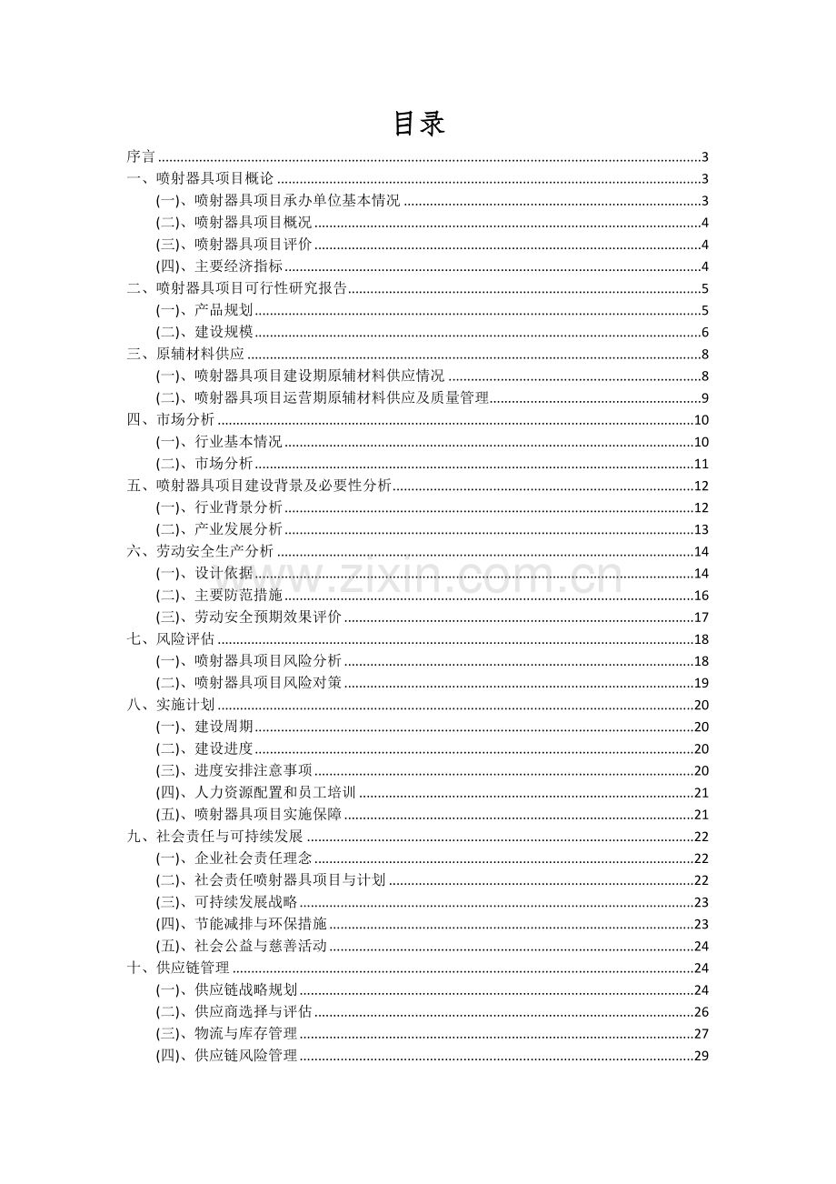 2024年喷射器具项目可行性分析报告.docx_第2页