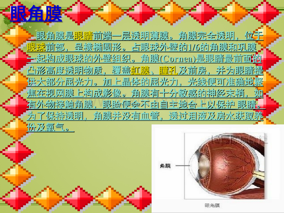 永生的眼睛(完美版).ppt_第2页