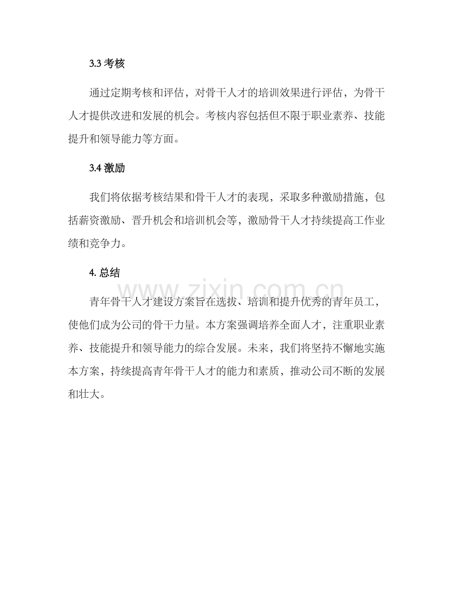 青年骨干人才建设方案.docx_第3页