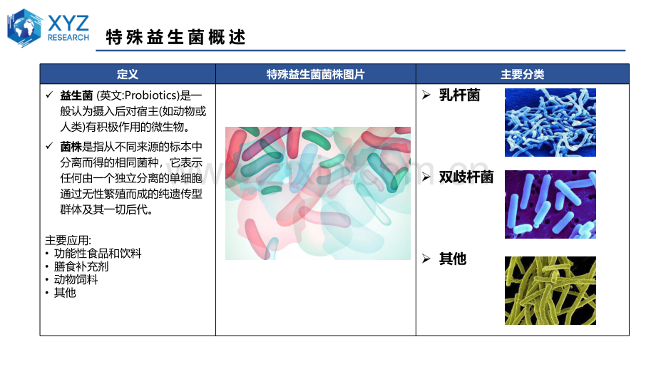 全球和中国特殊益生菌菌株市场分析.pdf_第3页