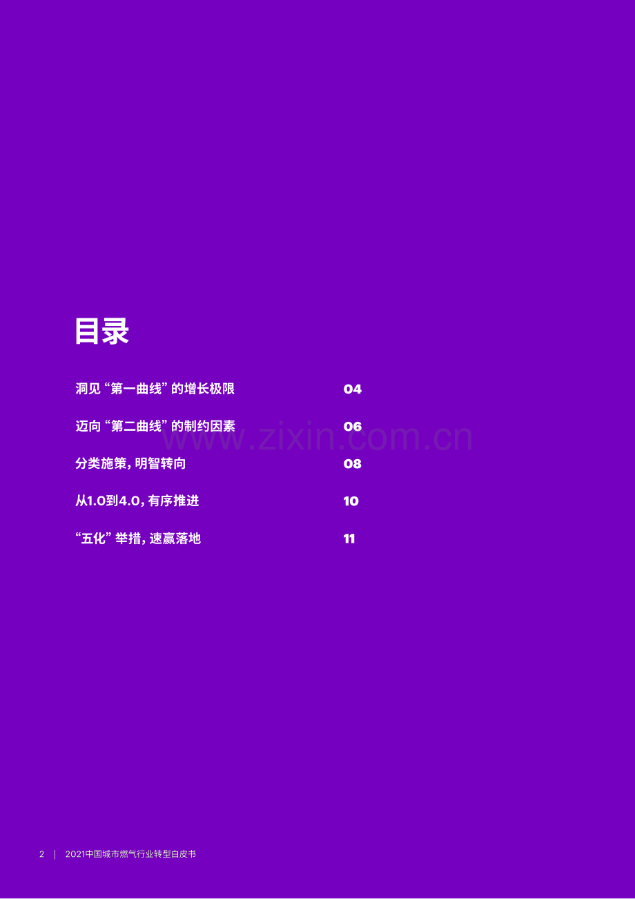 中国城市燃气行业转型白皮书.pdf_第2页