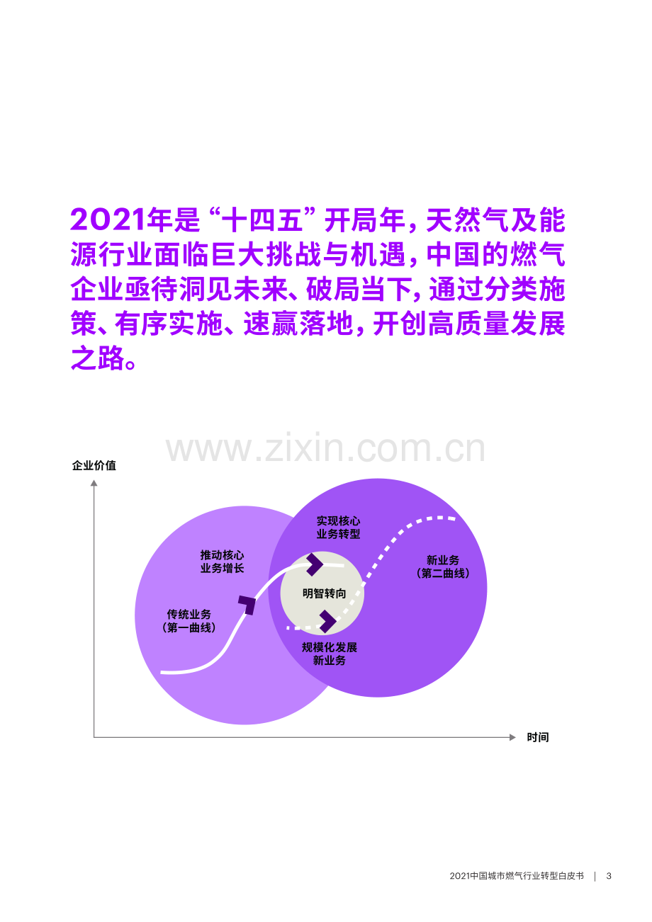 中国城市燃气行业转型白皮书.pdf_第3页