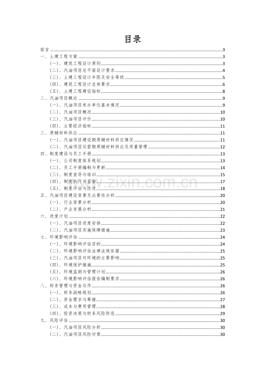 2024年汽油项目投资分析及可行性报告.docx_第2页