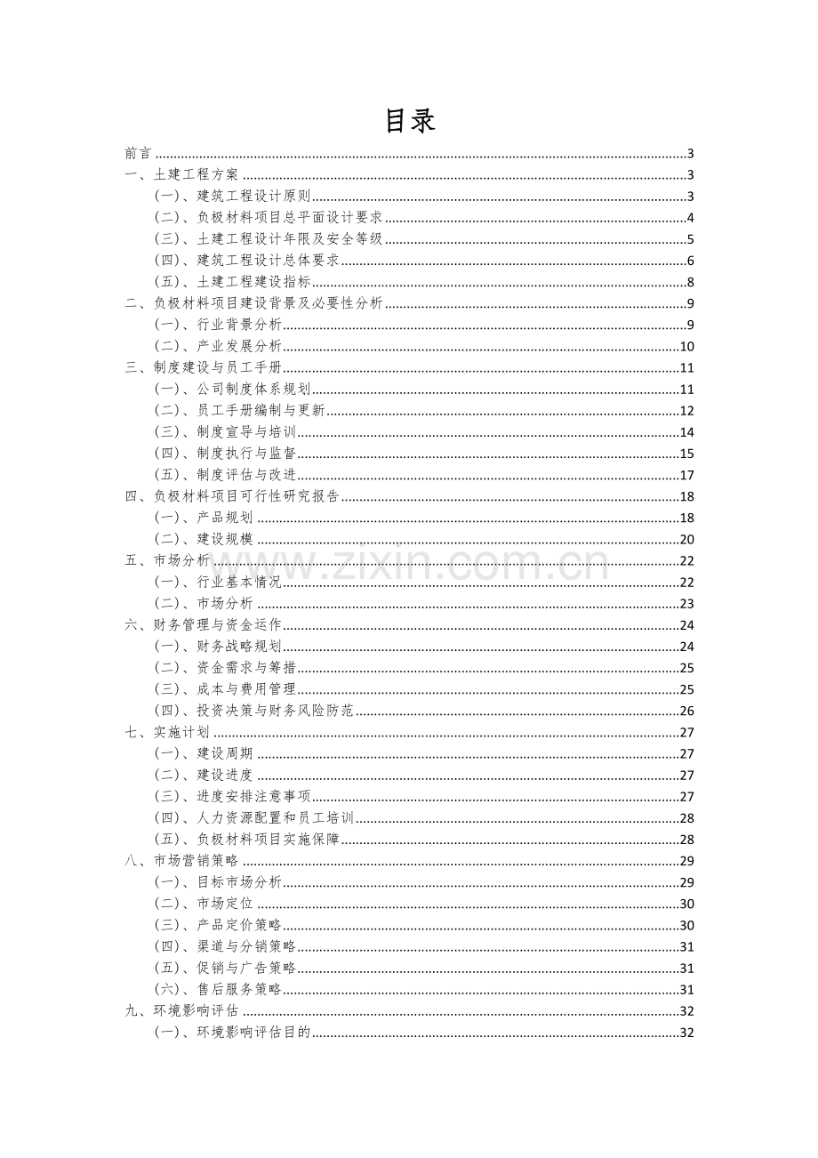 2024年负极材料项目深度研究分析报告.docx_第2页