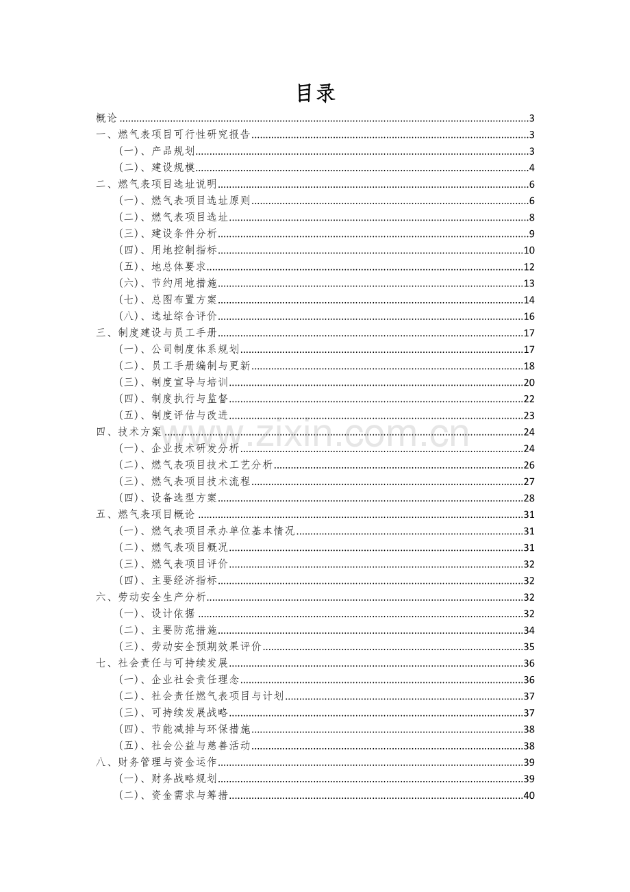 2024年燃气表项目可行性分析报告.docx_第2页