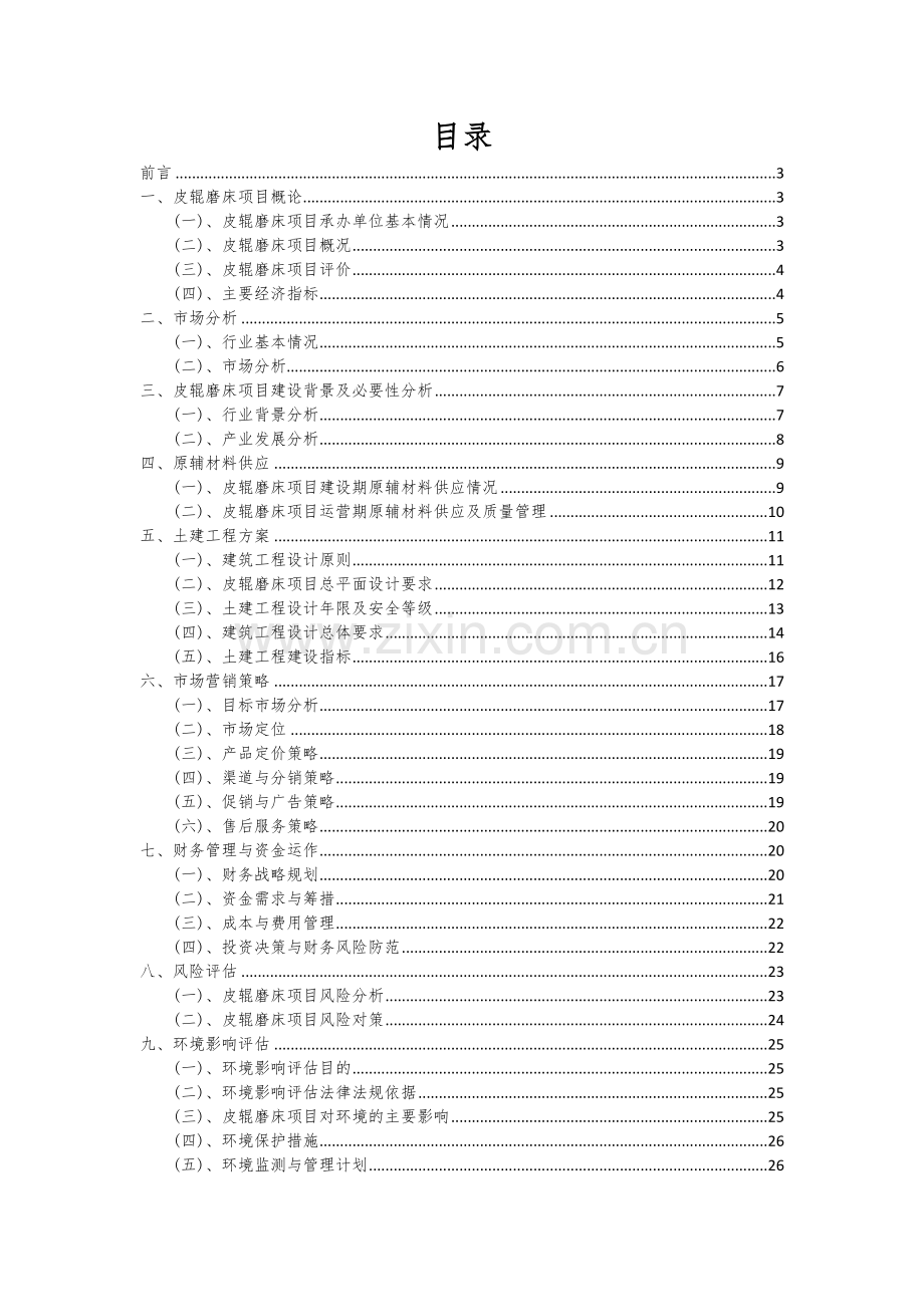 2024年皮辊磨床项目深度研究分析报告.docx_第2页