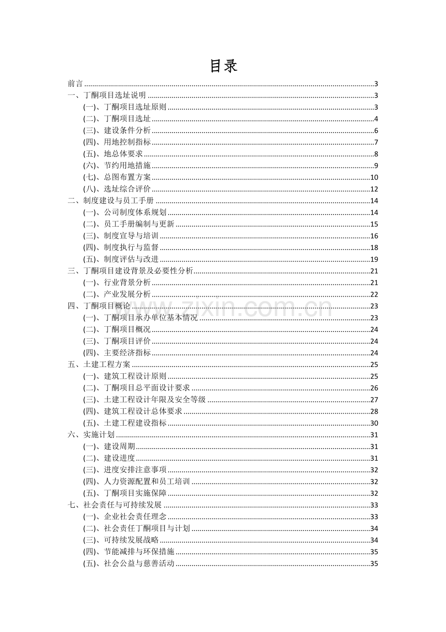 2024年丁酮项目可行性分析报告.docx_第2页