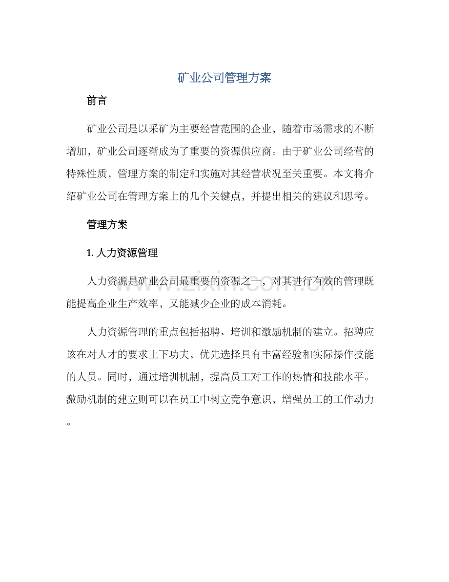 矿业公司管理方案.docx_第1页