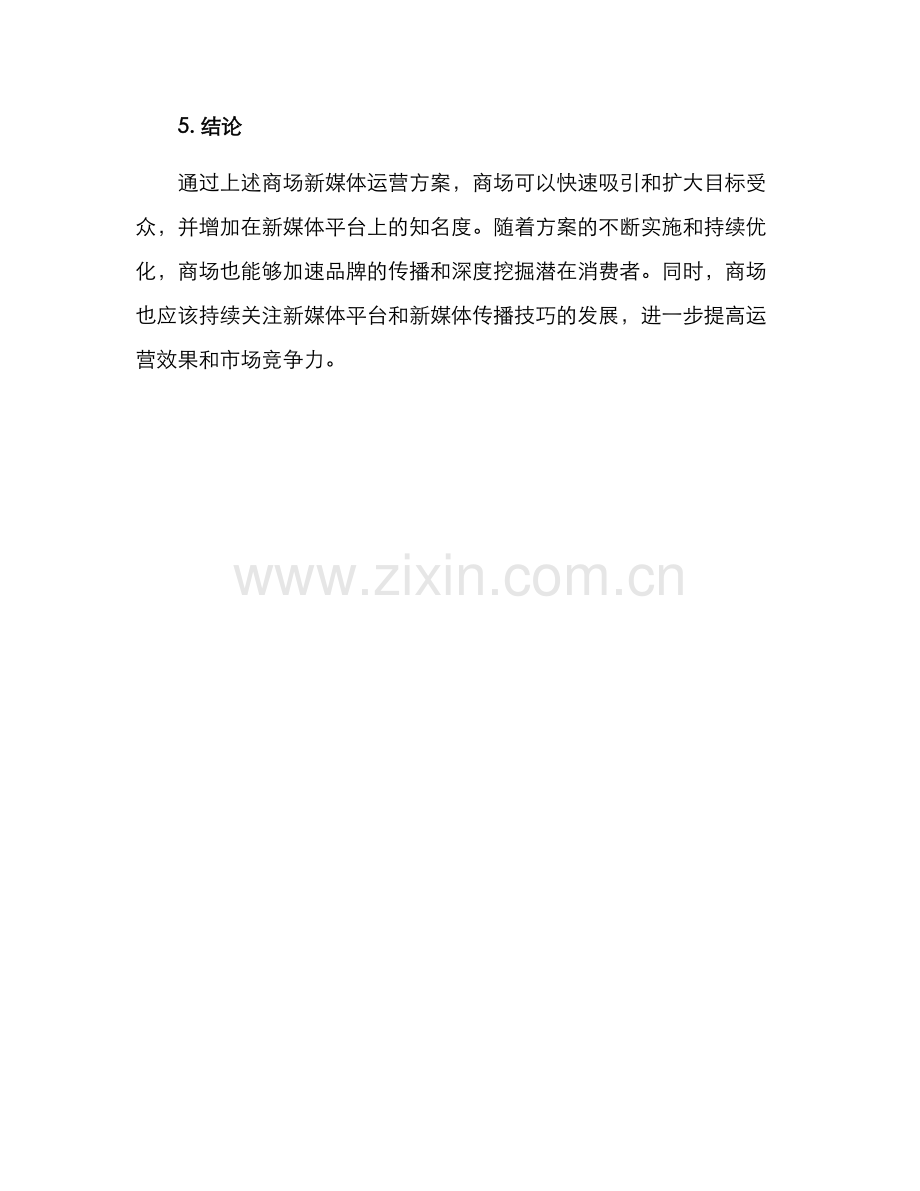 商场新媒体运营方案.docx_第3页