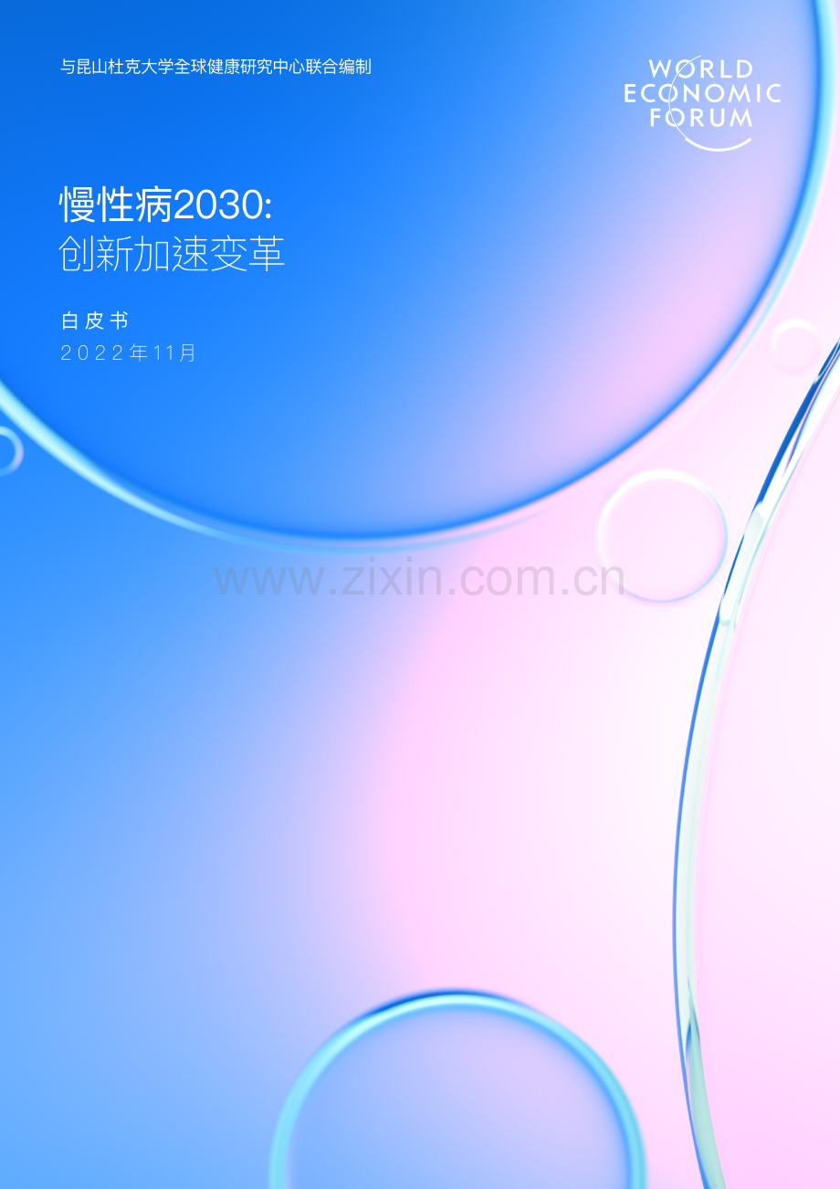 慢性病2030：创新加速变革白皮书.pdf_第1页