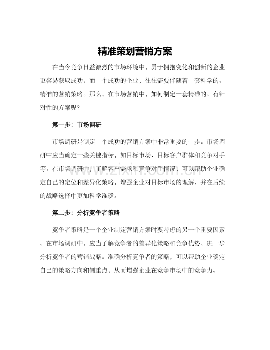 精准策划营销方案.docx_第1页