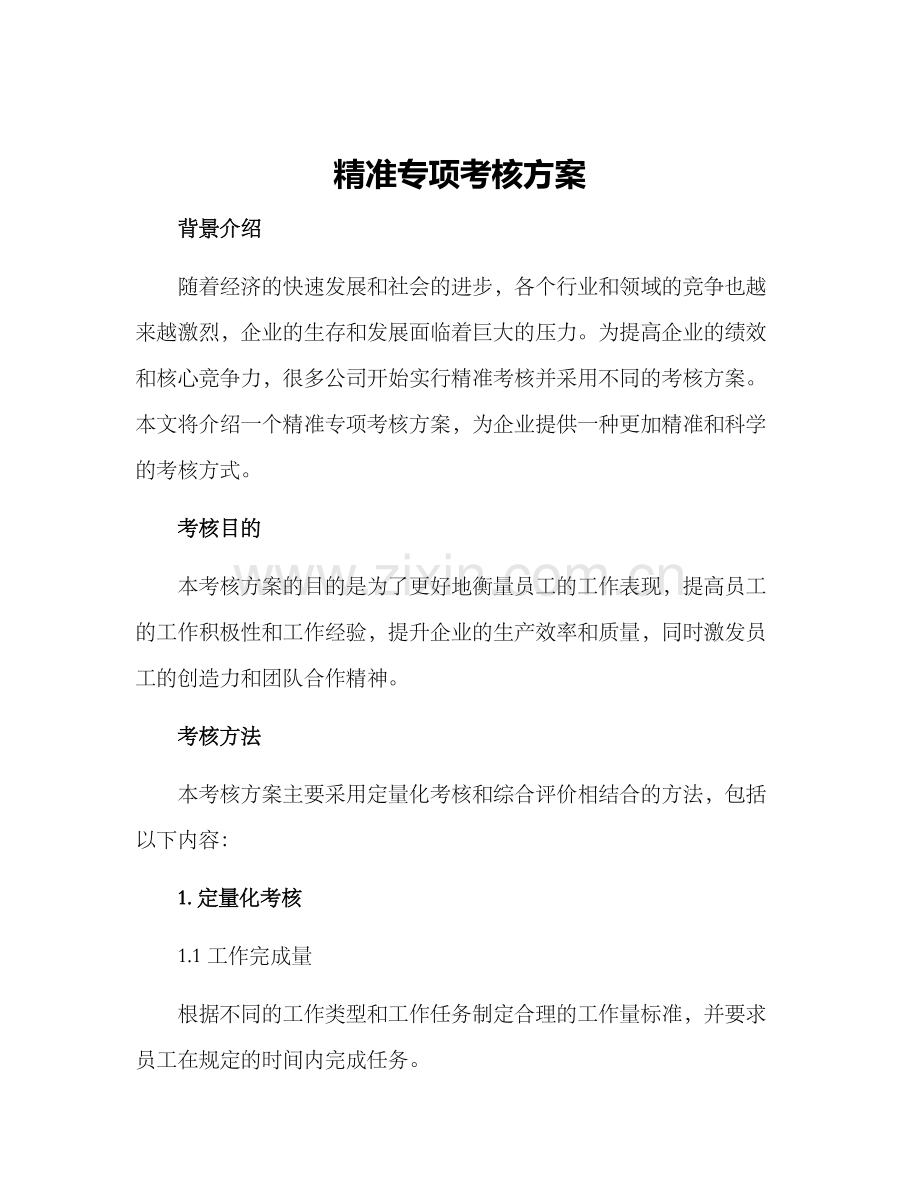 精准专项考核方案.docx_第1页