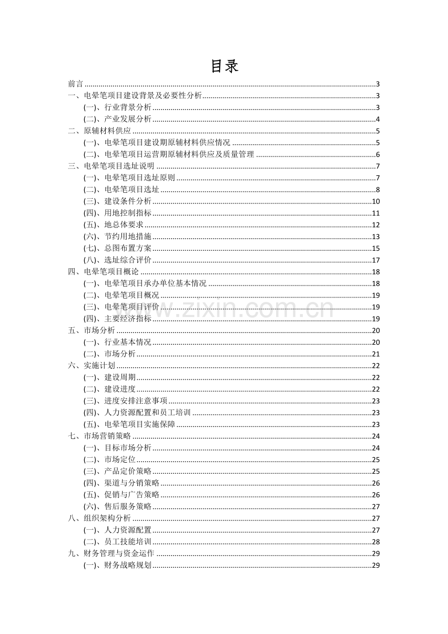 2024年电晕笔项目投资分析及可行性报告.docx_第2页