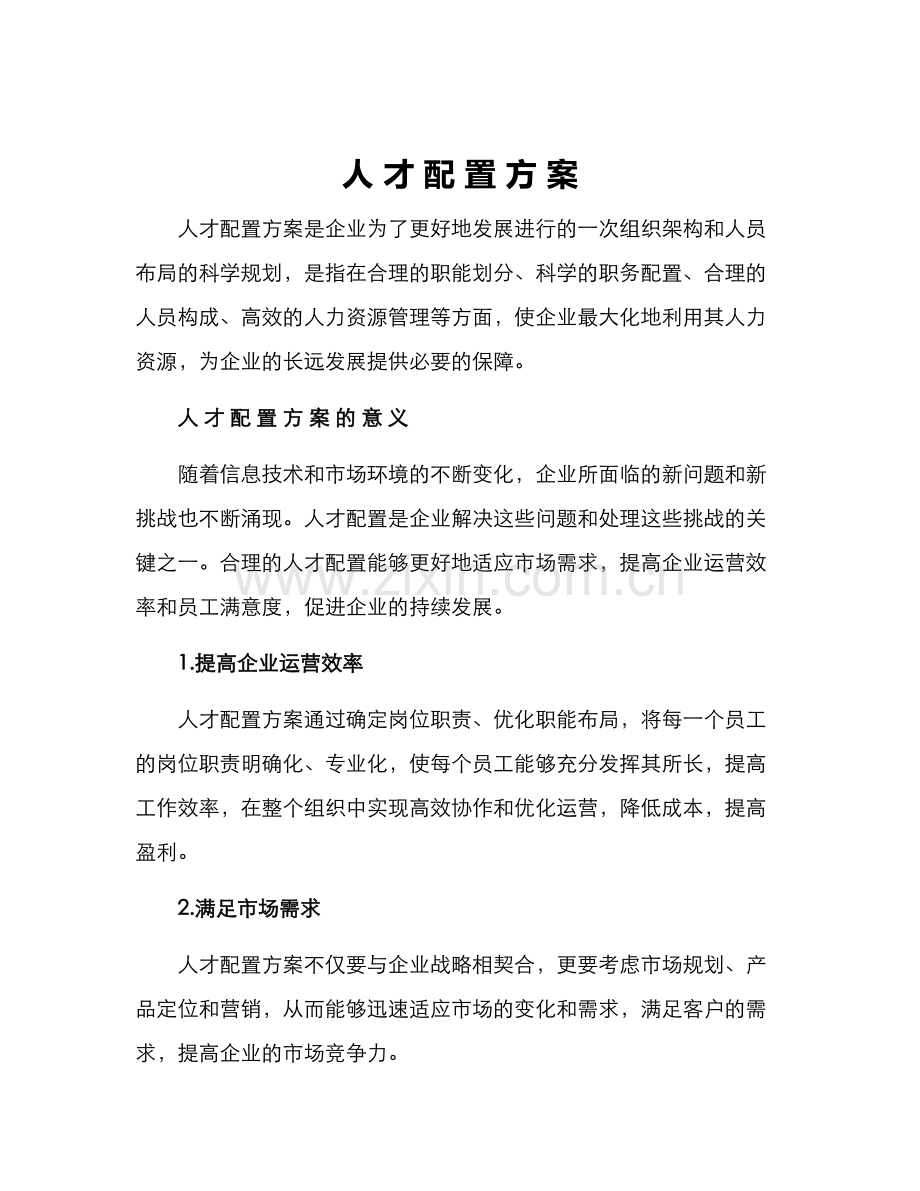 人才配置方案.docx_第1页