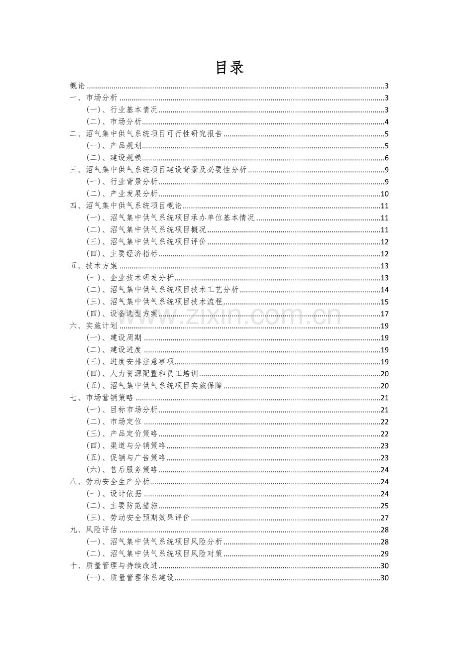 2024年沼气集中供气系统项目可行性研究报告.docx_第2页