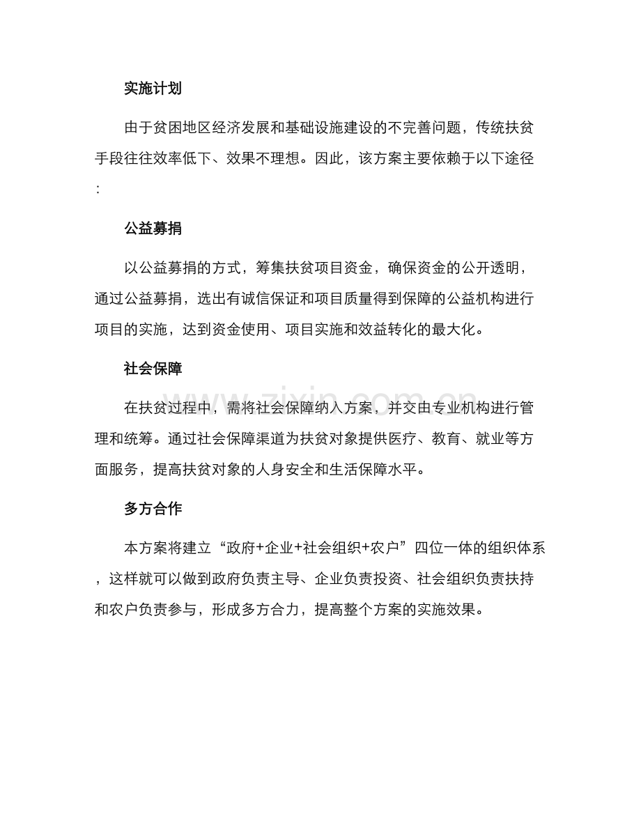 精准扶贫项目组织方案.docx_第2页