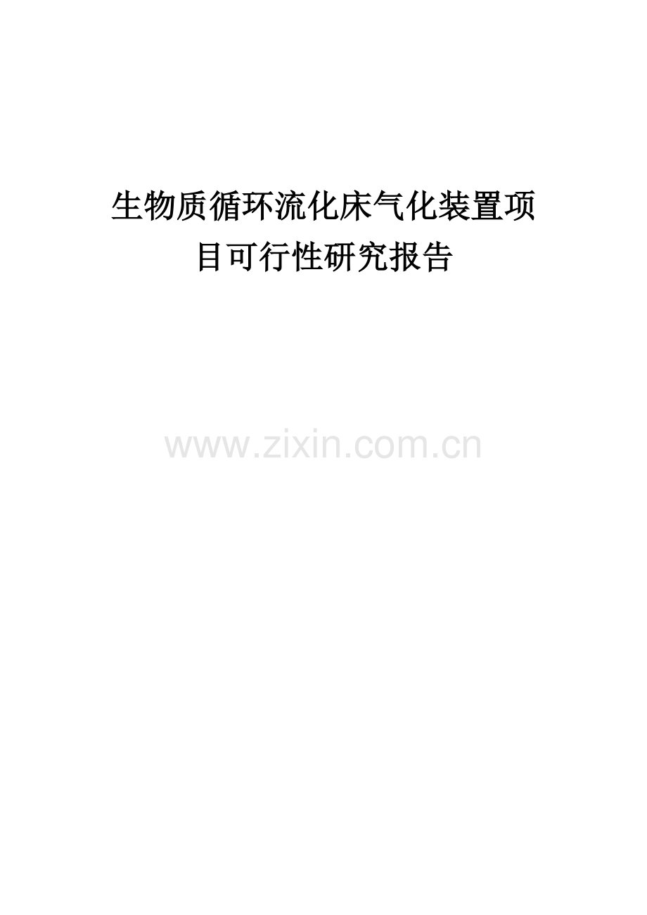 2024年生物质循环流化床气化装置项目可行性研究报告.docx_第1页