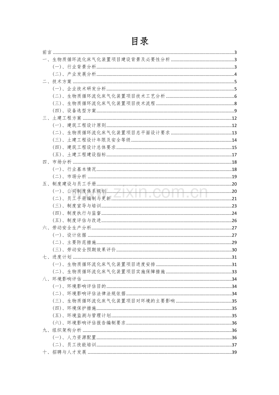 2024年生物质循环流化床气化装置项目可行性研究报告.docx_第2页