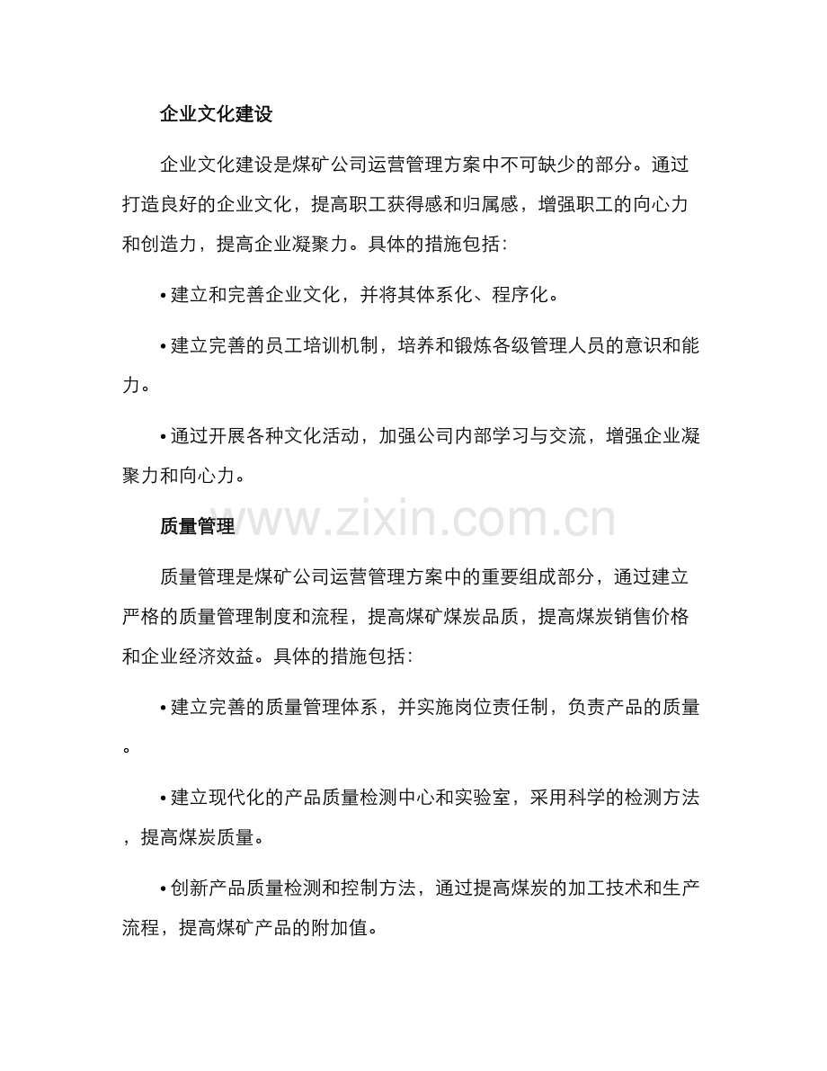 煤矿公司运营管理方案.docx_第2页