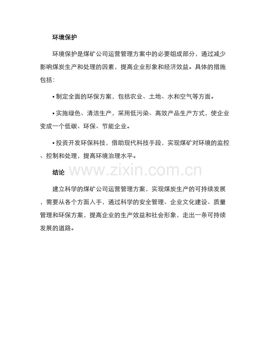 煤矿公司运营管理方案.docx_第3页