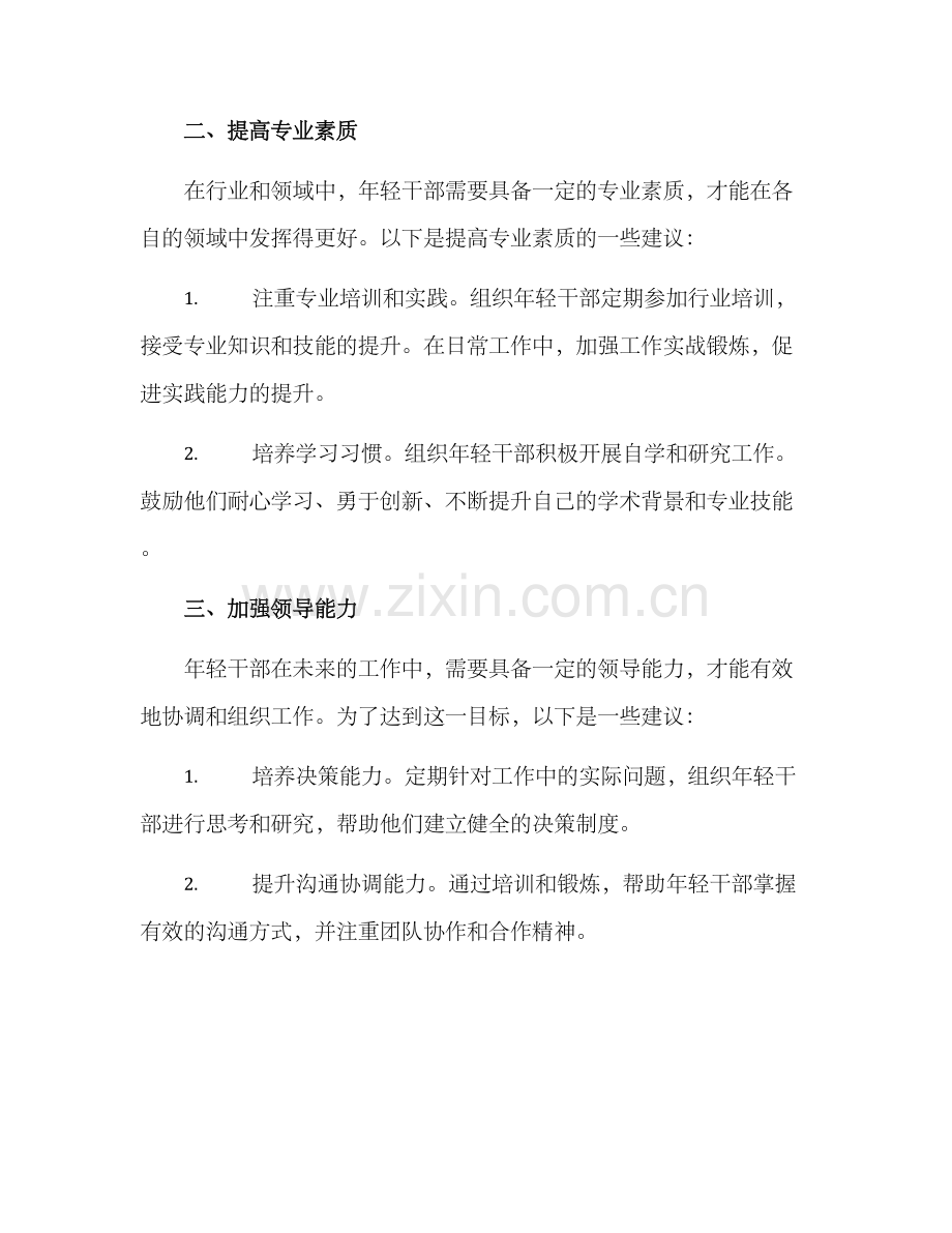 年轻干部能力建设方案.docx_第2页