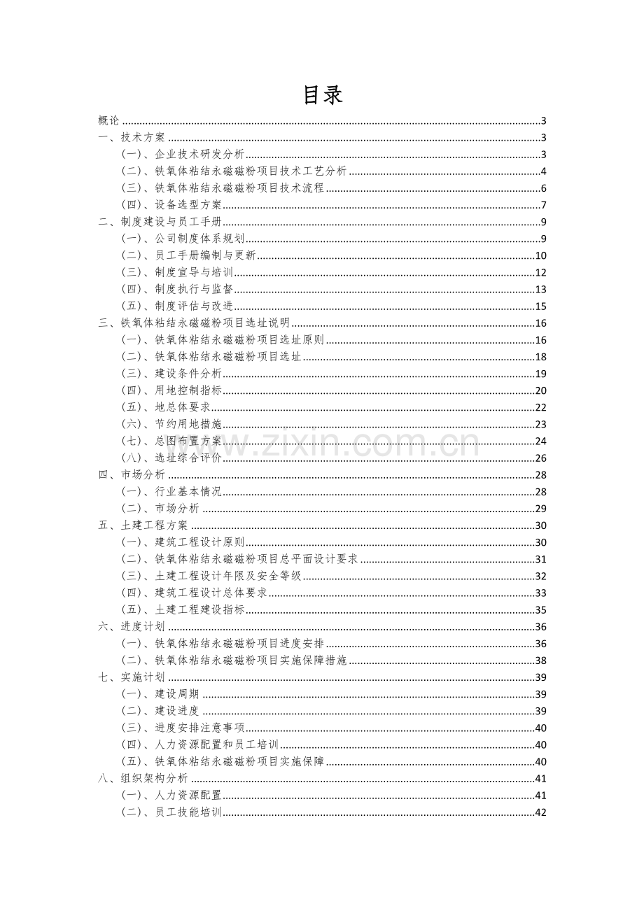 2024年铁氧体粘结永磁磁粉项目可行性分析报告.docx_第2页