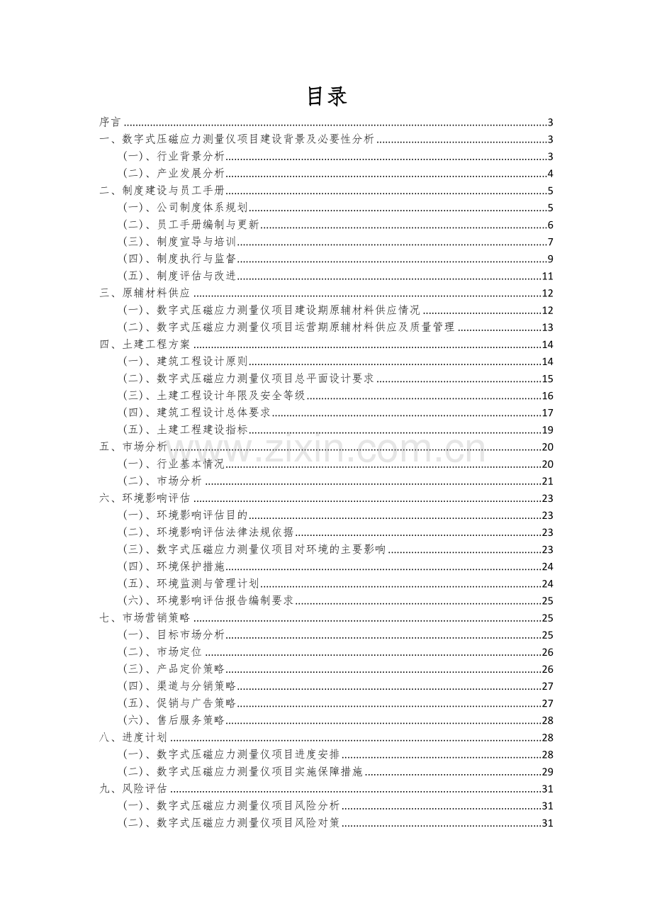 2024年数字式压磁应力测量仪项目可行性分析报告.docx_第2页