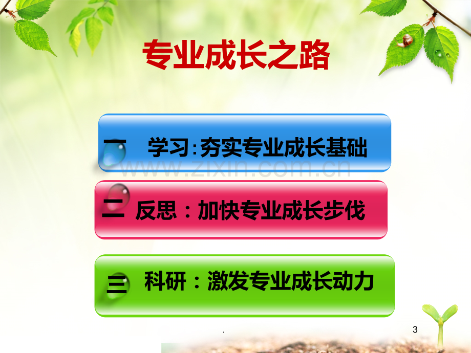 我的专业成长之路.ppt_第3页