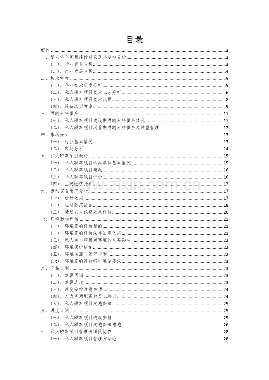 2024年私人轿车项目可行性分析报告.docx_第2页