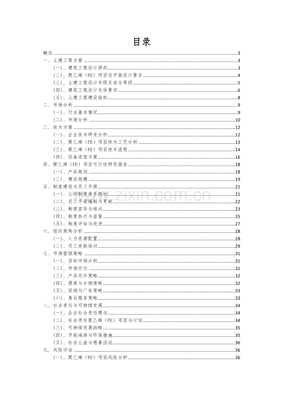 2024年聚乙烯(PE)项目可行性研究报告.docx_第2页