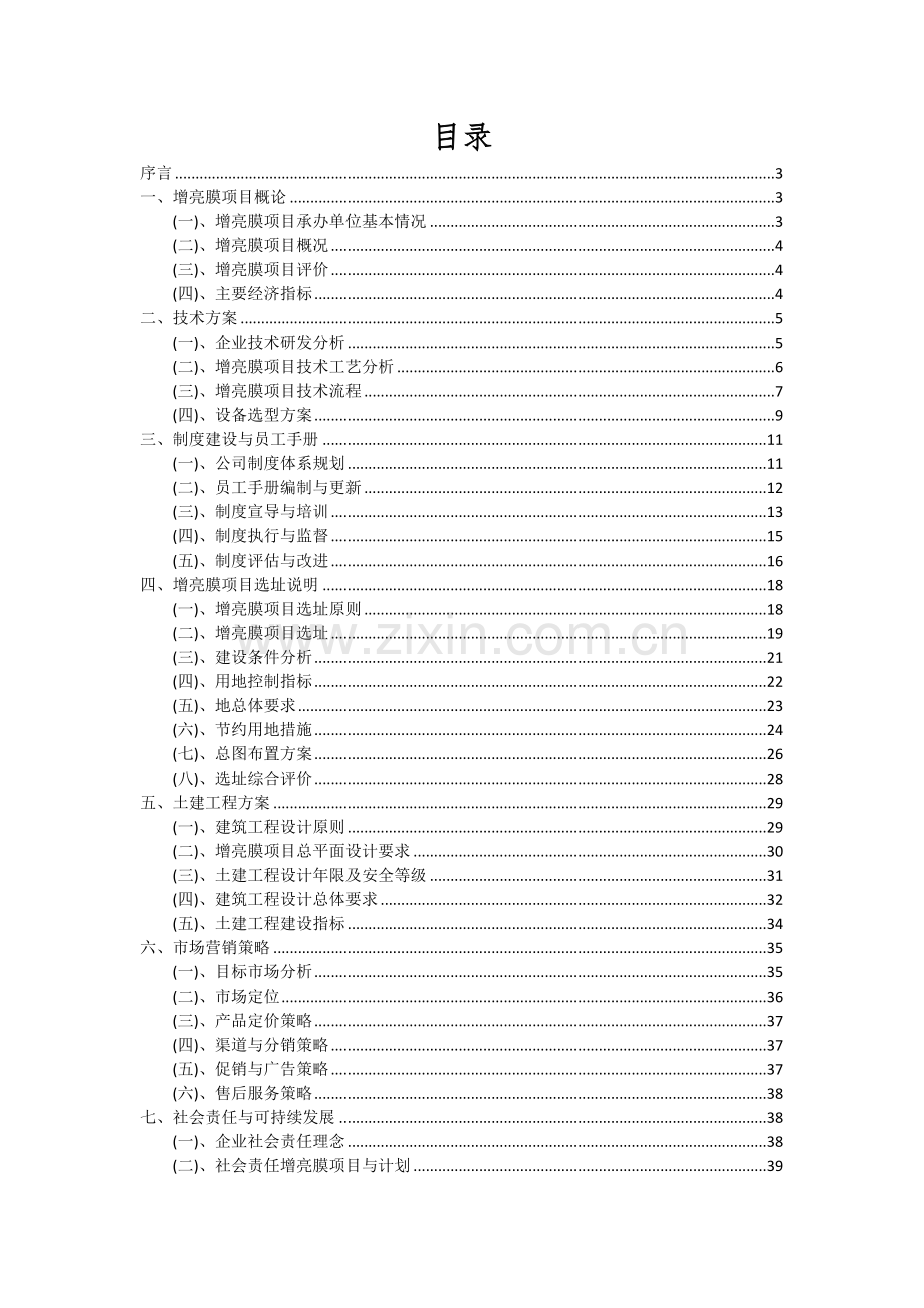 2024年增亮膜项目深度研究分析报告.docx_第2页