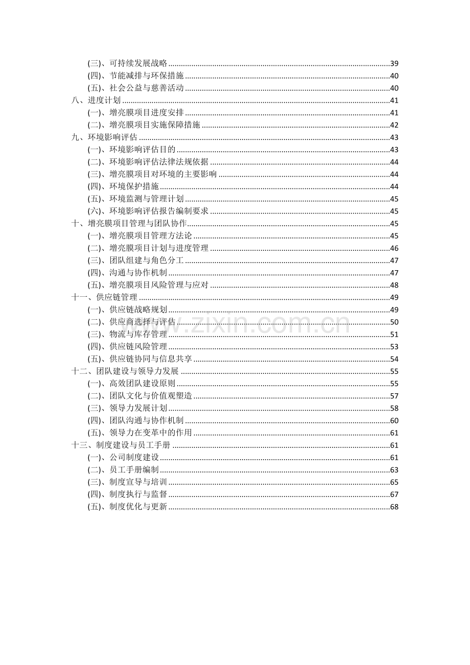 2024年增亮膜项目深度研究分析报告.docx_第3页