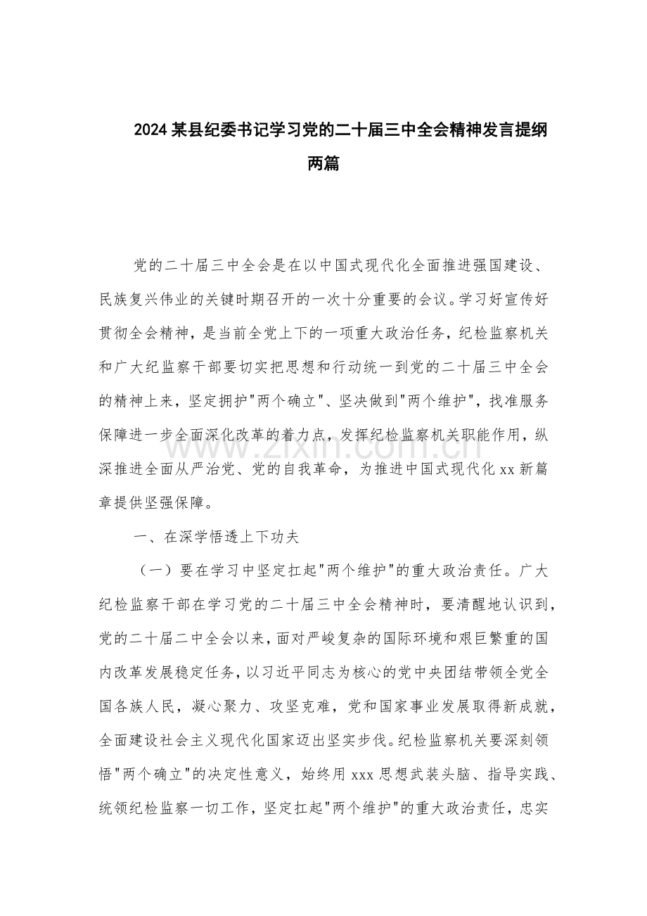 2024某县纪委书记学习党的二十届三中全会精神发言提纲两篇.docx_第1页