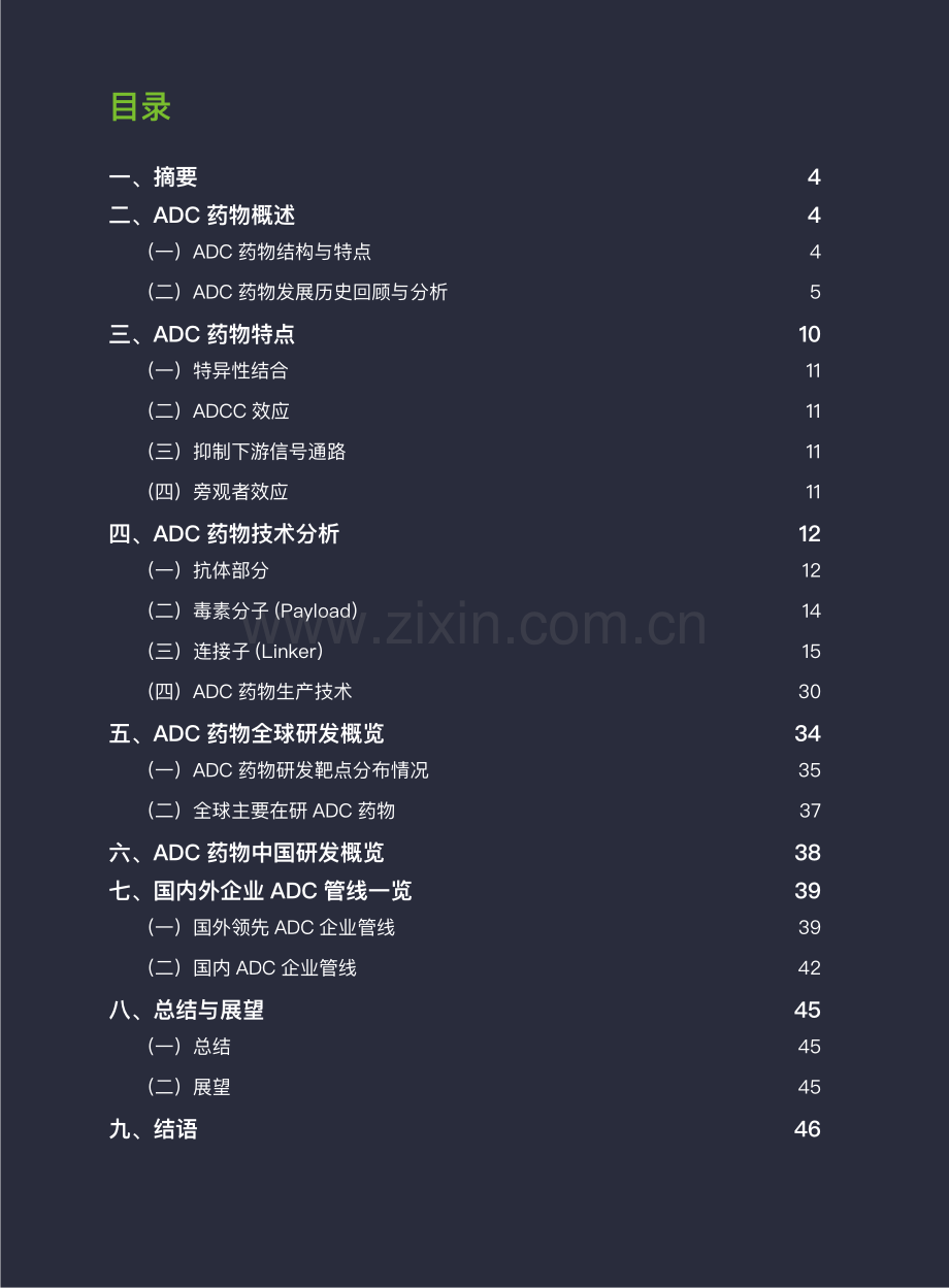 2021年ADC药物行业研究报告.pdf_第2页