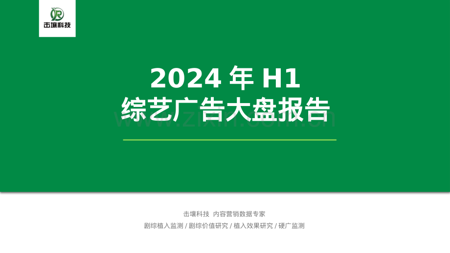 2024年H1综艺广告大盘报告.pdf_第1页