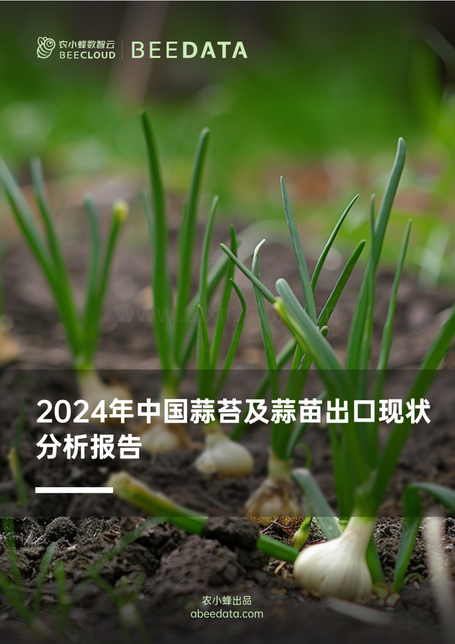 2024年中国蒜苔及蒜苗出口现状分析报告.pdf_第1页