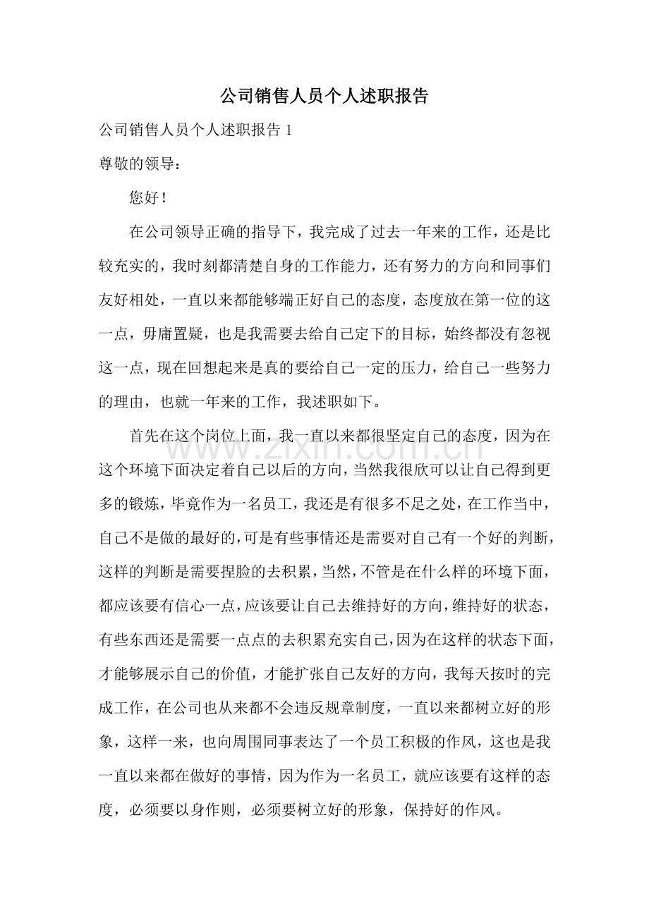 公司销售人员个人述职报告.docx_第1页