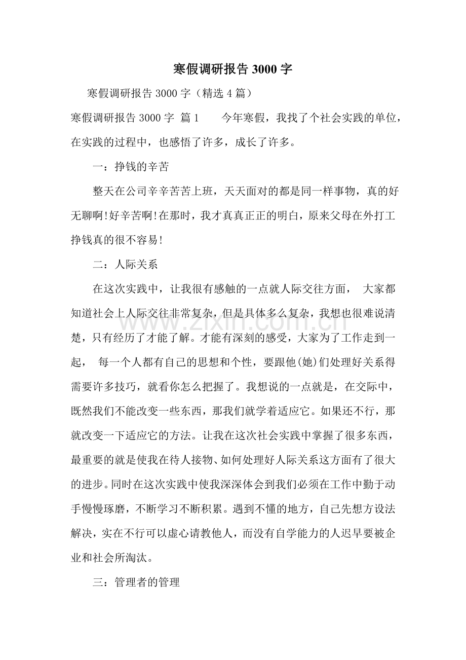 寒假调研报告3000字.doc_第1页