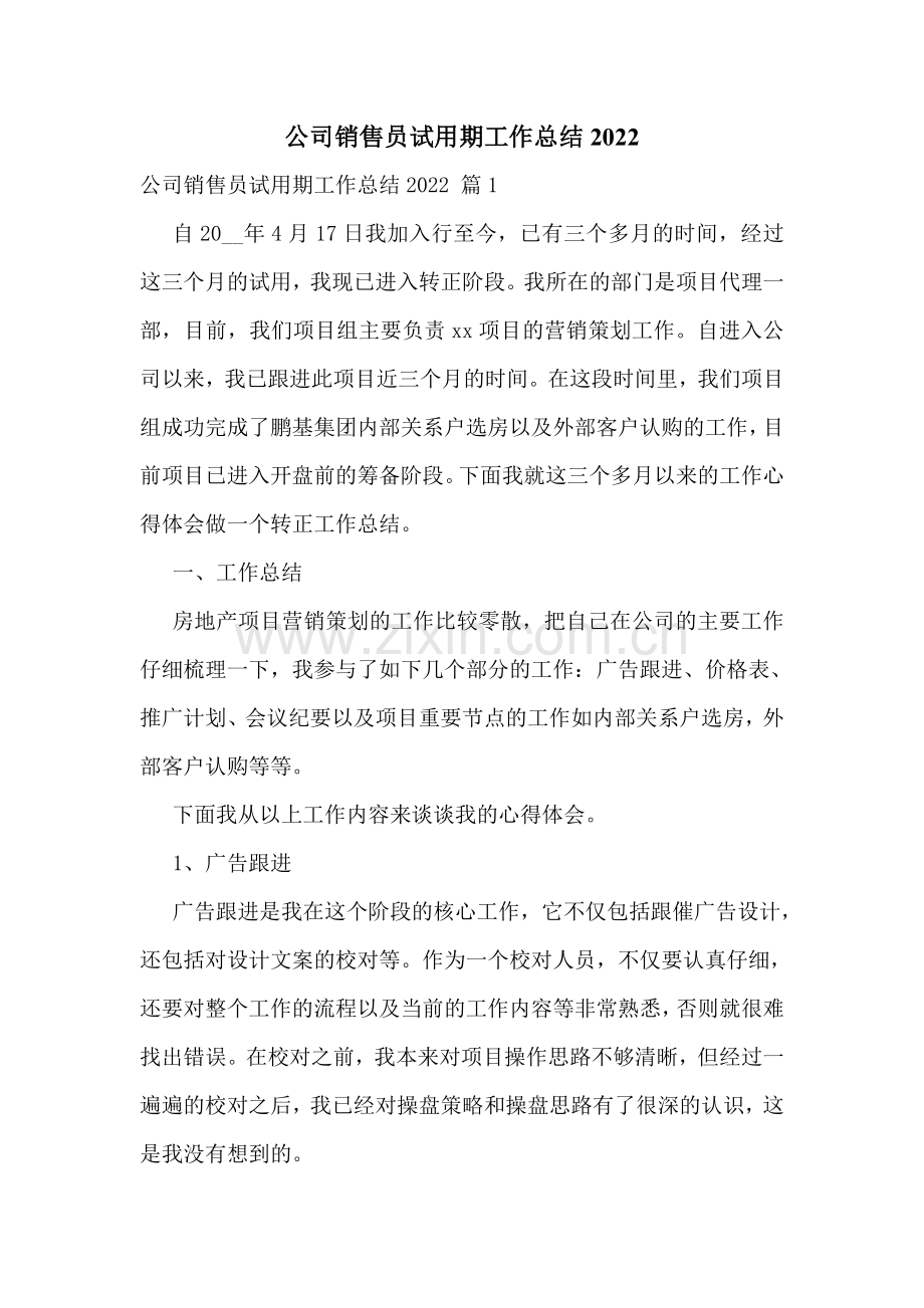 公司销售员试用期工作总结2022.doc_第1页