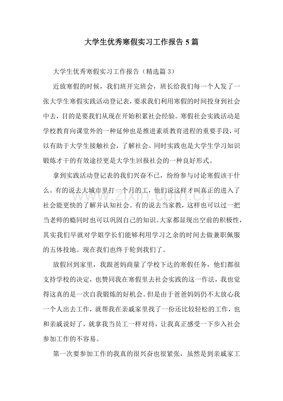 大学生优秀寒假实习工作报告5篇.doc_第1页