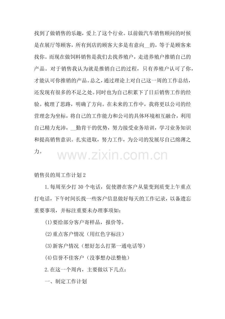 销售员的周工作计划.docx_第2页