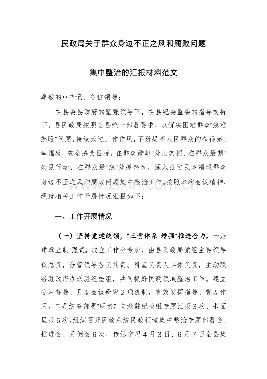 民政关于群众身边不正之风问题集中整治的材料范文.docx_第1页